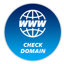 เช็คโดเมน (Check Domain) หรือ WHOIS